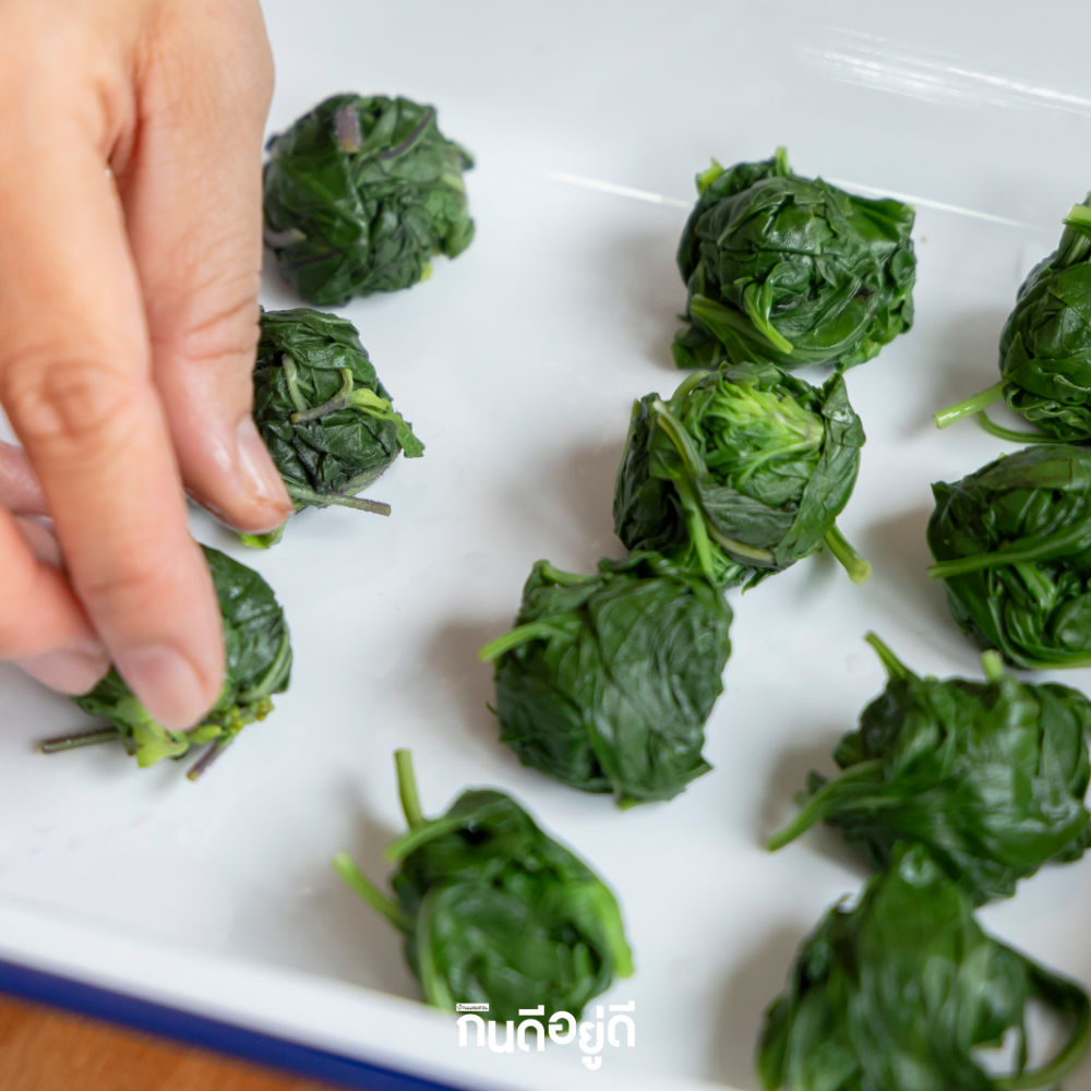 วิธีเก็บใบกระเพรา