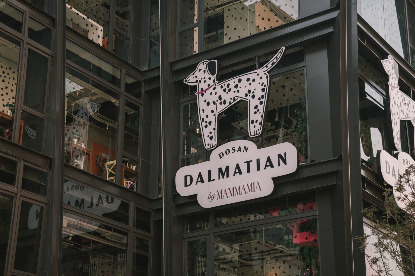 Dalmatian by Mammamia