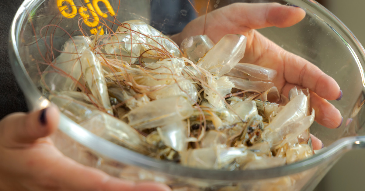 ผงโรยข้าวโฮมเมดรสอูมามิจากเปลือกกุ้ง